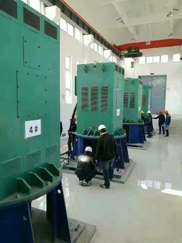 武陵某污水处理厂使用我厂的立式高压电机安装现场