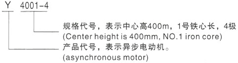 西安泰富西玛Y系列(H355-1000)高压武陵三相异步电机型号说明
